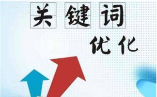 企业想做seo优化坑太多 教你4招如何选择一家优质的seo服务商