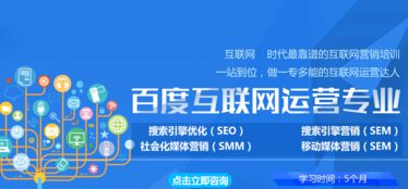 seo seo的分类