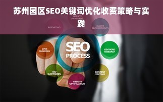 苏州园区SEO关键词优化收费策略与实践