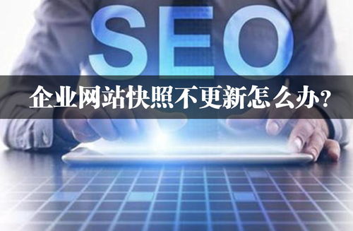 企业网站快照不更新怎么办