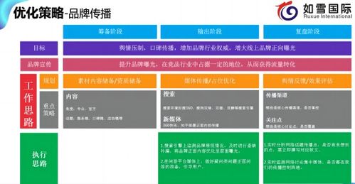 如雪国际 搜索引擎优化seo实战总结,必看