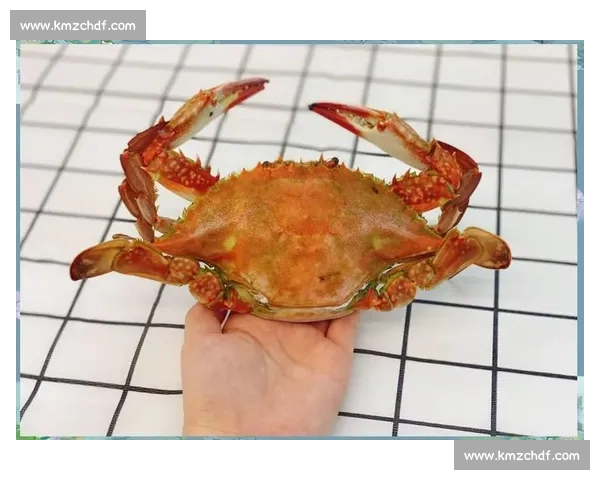 从 “蟹斗” 到共赢：大闸蟹与梭子蟹的鲜味新生态