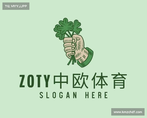 介绍zoty中欧体育